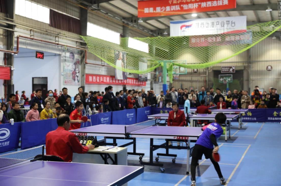 作为中国乒